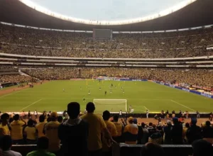 全城,保龄球冠军,巡演圆满落,米兰,MiLan,米兰注册网址,米兰app,米兰官网,米兰网站,米兰下载